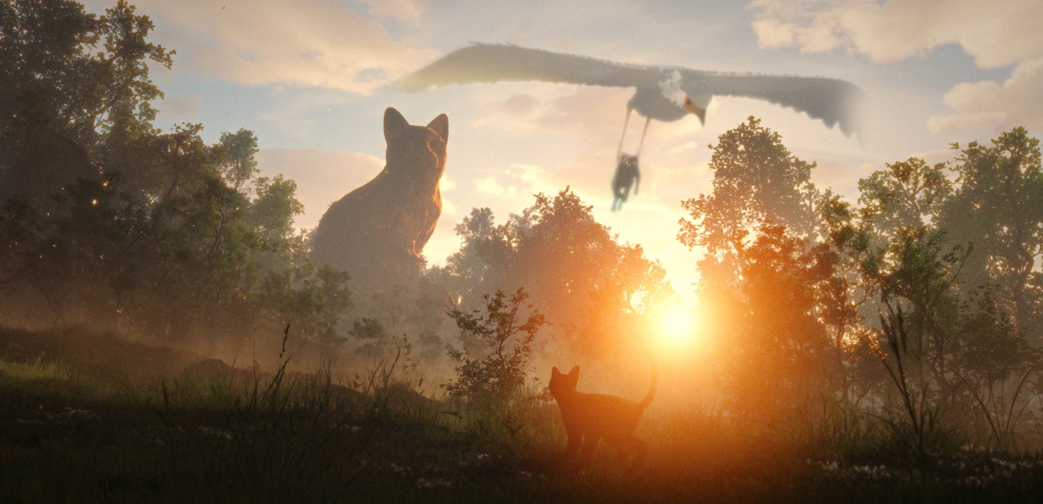 Flow: Nature and Fragility of Heart